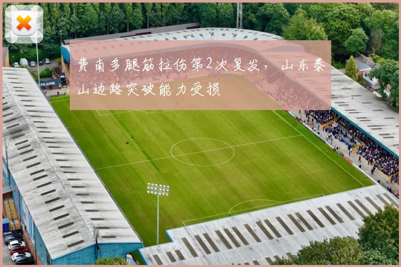 费南多腿筋拉伤第2次复发，山东泰山边路突破能力受损